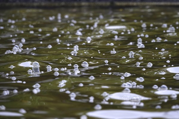 April weather, rain meets a lake, Germany, Europe