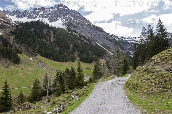 Hiking trail, behind Geisshorn, Gemsteltal, Mittelberg, Kleinwalsertal, Vorarlberg, Allgaeu Alps, Austria, Europe
