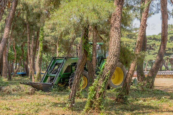 Green tractor with yellow wheels parked in shade of grove of trees in South Korea