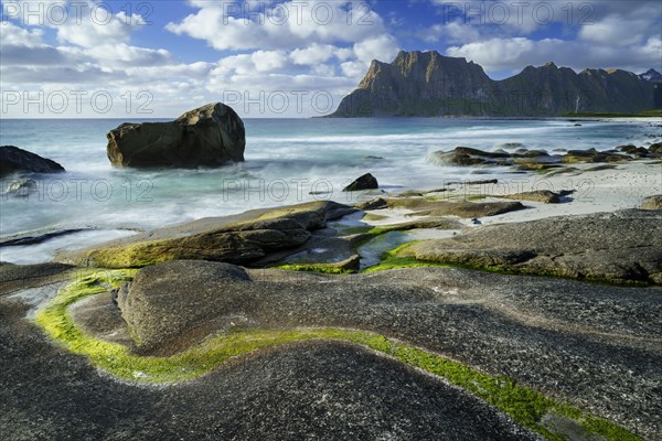 Seascape on the beach at Uttakleiv (Utakleiv), rocks and green algae in the foreground. In the background the mountain Hogskolmen. Good weather, blue sky with some clouds. Early summer. Long exposure. Uttakleiv, Vestvagoya, Lofoten, Norway, Europe