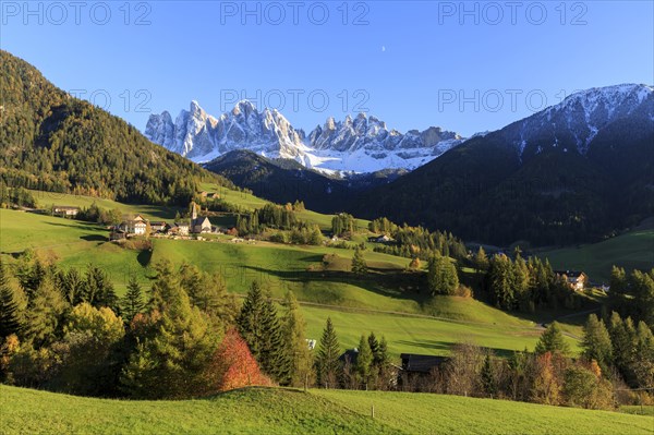 A small settlement nestled in an autumnal meadow landscape with a panoramic view of the Dolomites, Italy, Trentino-Alto Adige, Alto Adige, Bolzano province, Dolomites, Santa Magdalena, St. Maddalena, Funes Valley, Odle, Puez-Geisler Nature Park in autumn, Europe