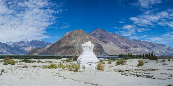 Tschoerten near Hunder, Nubra Valley, Ladakh, Jammu and Kashmir, Indian Himalayas, North India, India, Asia