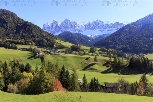 Autumn mountain landscape with a village surrounded by colourful trees, Italy, Trentino-Alto Adige, Alto Adige, Bolzano province, Dolomites, Santa Magdalena, St. Maddalena, Funes Valley, Odle, Puez-Geisler Nature Park in autumn, Europe