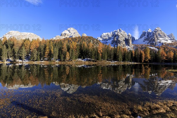 The colourful scenery of an autumnal forest next to a mirror-smooth lake in the sunlight, Italy, South Tyrol, Belluno, Dolomites, Lago d'Antorno against Cadini, Misurina, Sesto Dolomites, Veneto, Europe