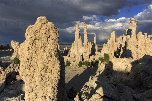 Large tufa columns under a dramatic sky with shadows, Mono Lake, North America, USA, South-West, California, California, North America