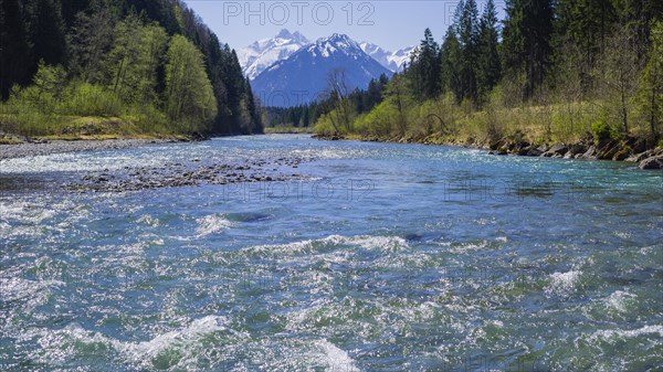 Iller, near Oberstdorf, with the Allgaeu Alps behind it, Oberallgaeu, Bavaria, Germany, Europe