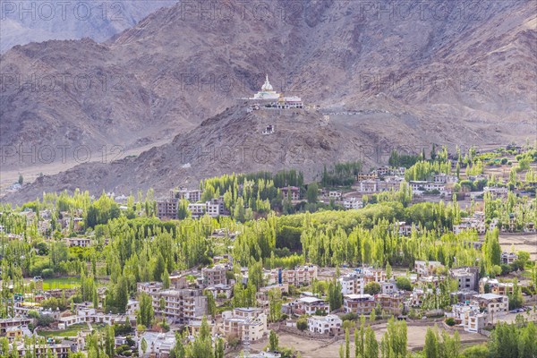 Panorama over Leh, behind it the Shanti Stupa, Ladakh, Jammu and Kashmir, India, Asia