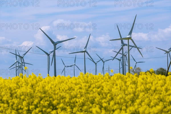 Wind turbines in the Luetetsburg wind farm behind a rape field on the North Sea coast, Hagermarsch, East Frisia, Lower Saxony, Germany, Europe