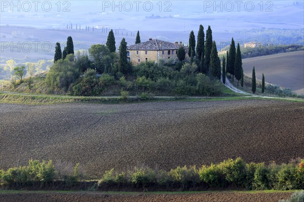 Secluded farmstead on a hill in Tuscany surrounded by cultivated fields, Italy, Tuscany, Podere Belvedere, Val d'Orcia, Pienza, Siena Province, Europe