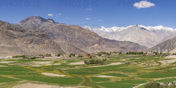 Khardung, Nubra Valley, Ladakh, Jammu and Kashmir, Indian Himalayas, North India, India, Asia