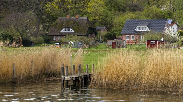 Landscape at the ferry house of the connecting canal Baabe-Selin-Moritzdorf, Seliner See, Ruegen, Mecklenburg-Vorpommern, Germany, Europe