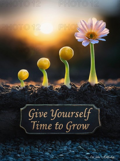 Flowers in soil with an inspirational sign, bathed in the warm light of a setting sun, AI generated