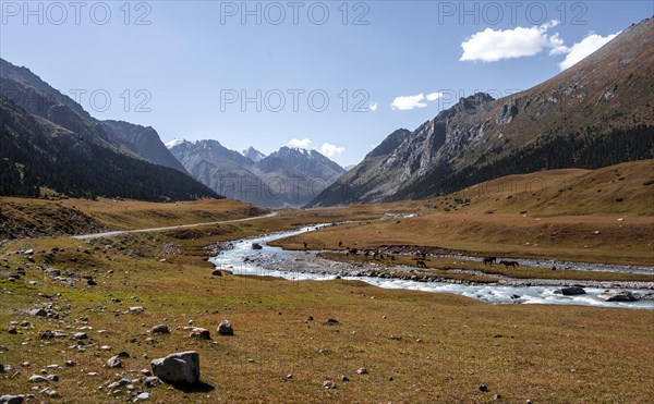 Landscape with high mountains and stream in the Tien Shan, mountain valley, Issyk Kul, Kyrgyzstan, Asia