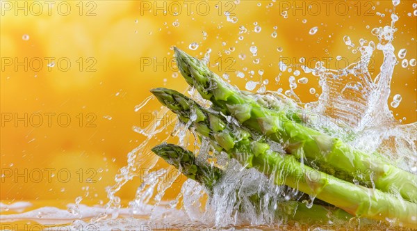 A bunch of fresh asparagus are falling into a pool of water. Concept of organic and healthy diet, AI generated