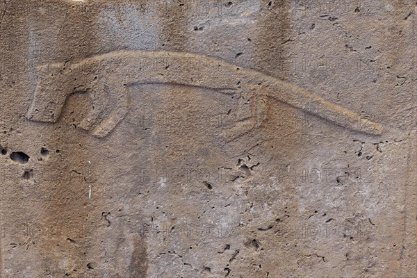 Gobekli Tepe neolithic archaeological site dating from 10 millennium BC, Massive stone pillars with sculptural relief of wild animals, Potbelly Hill, Sanliurfa, Turkey, Asia