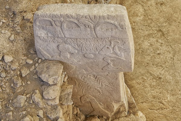 Gobekli Tepe neolithic archaeological site dating from 10 millennium BC, Massive stone pillars with sculptural relief of wild animals, Potbelly Hill, Sanliurfa, Turkey, Asia