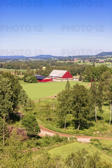 View at a beautiful cultivated landscape with a red barn in the countryside a sunny summer day, Sweden, Europe