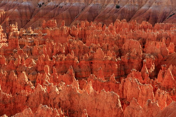 Red glowing rock structures in contrast to dark shadows, Bryce Canyon National Park, North America, USA, South-West, Utah, North America