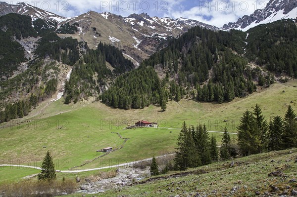 Gemsteltal, centre of Naturalpe Gemstel-Schoenesboden-Alpe, Mittelberg, Kleinwalsertal, Vorarlberg, Allgaeu Alps, Austria, Europe