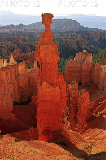 A striking hoodoo towers over a formation of rock towers, Thor's hammer, Bryce Canyon National Park, North America, USA, South-West, Utah, North America