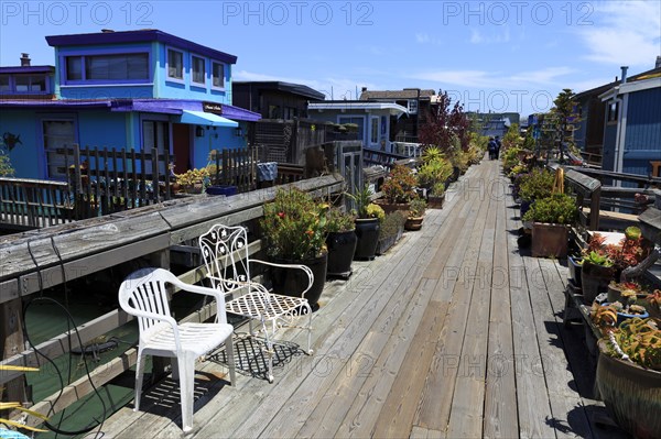 Colourful residential boats on a sunny day, flanked by a wooden path and plants, San Francisco, North America, USA, South-West, California, California, North America