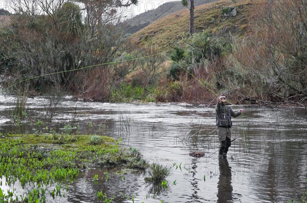 Fisherman fly fishing rainbow trout on mountain in beautiful scenery