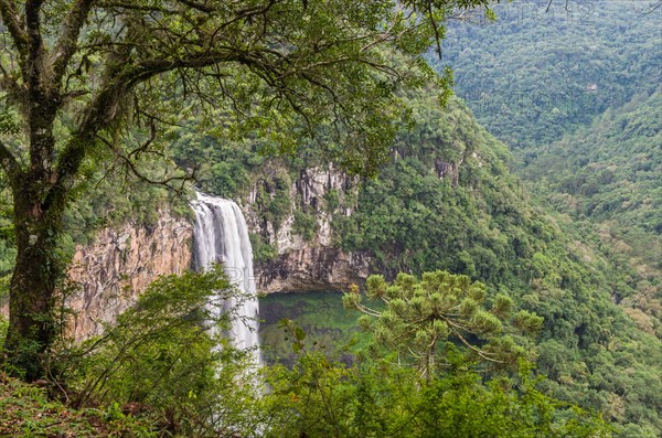 Beautiful view of Caracol Waterfall (Snail Waterfall), Canela- Rio Grande do Sul, Brazil, South America