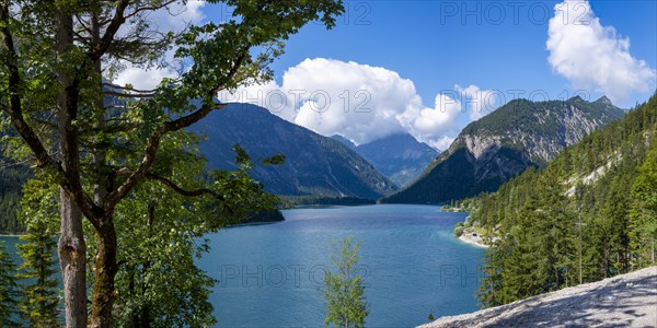 Plansee and Ammergau Alps, behind it the Thaneller, 2143m, Lechtal Alps, Tyrol, Austria, Europe