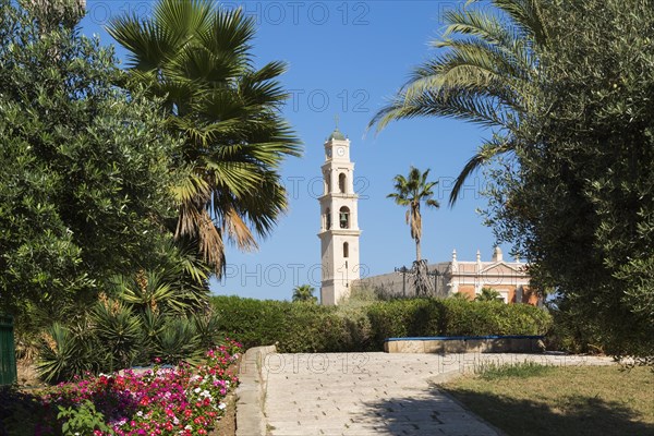 Paving stone foot path and St-Peter's Church through Abrasha Park, Jaffa, Israel, Asia