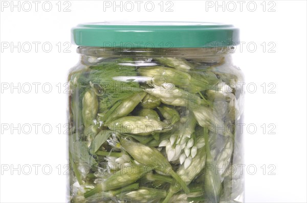 Wild garlic flower bud in lacto fermented