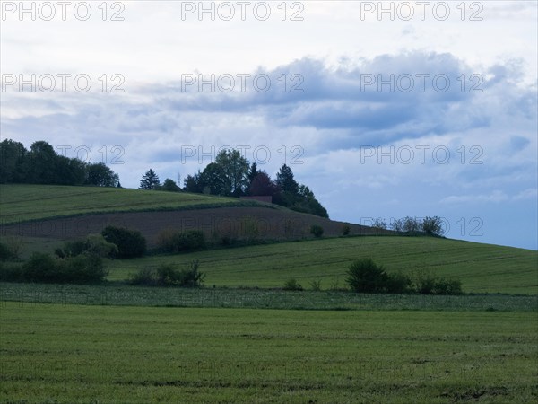 Meadow and forest edge, arable land, near Riegersburg, Styrian volcanic region, Styria, Austria, Europe