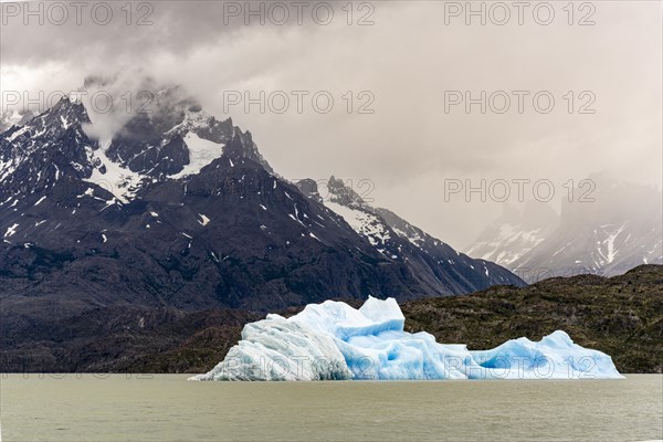 Iceberg on Lago Grey, Torres de Paine, Magallanes and Chilean Antarctica, Chile, South America