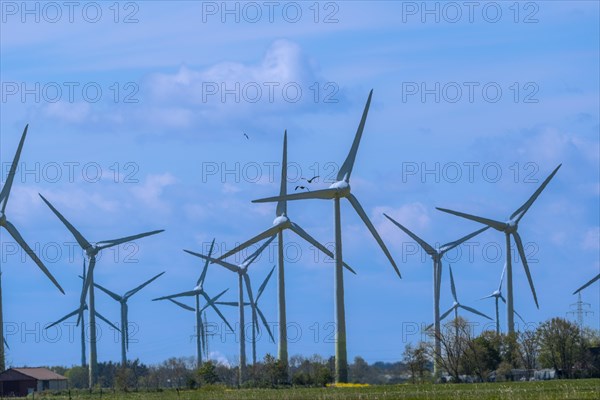 Wind turbines in the Luetetsburg wind farm on the North Sea coast, Hagermarsch, East Frisia, Lower Saxony, Germany, Europe