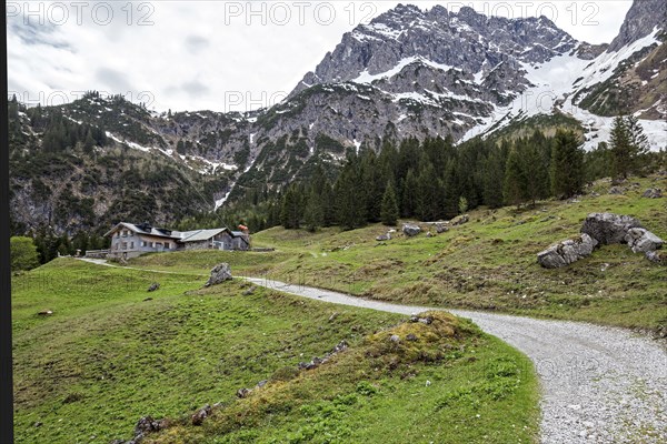 Hiking trail through green meadows, behind Hintere Gemstel-Huette and Widderstein, Gemsteltal, Mittelberg, Kleinwalsertal, Vorarlberg, Allgaeu Alps, Austria, Europe