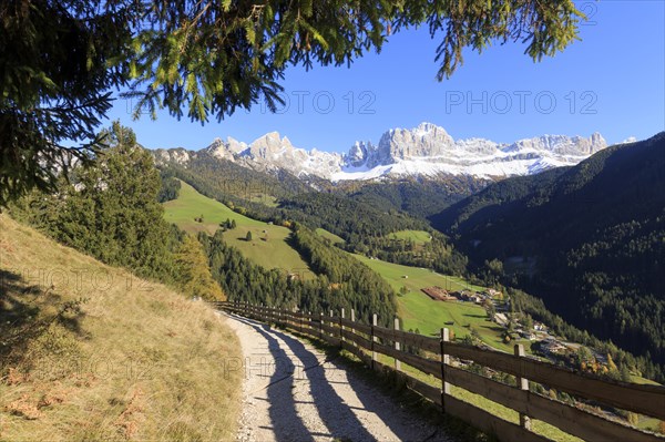 Cosy hiking trail along a fence with a view of the mountains on a clear day, Italy, Alto Adige, Bolzano province, Dolomites, rose garden, Europe