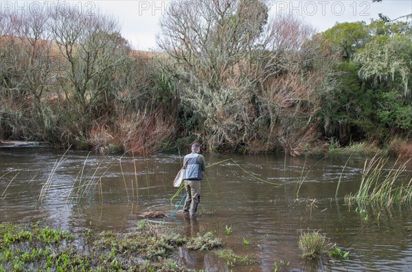 DSC_4641 Fisherman fly fishing rainbow trout on mountain in beautiful scenery