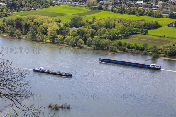 View from Drachenfels, mountain in the Siebengebirge on the Rhine with cargo ships between Koenigswinter and Bad Honnef, North Rhine-Westphalia, Germany, Europe