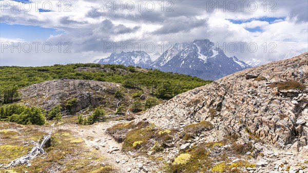 View on Paine Grande Mountain, Hike to Ferrier lookout, Torres de Paine, Magallanes and Chilean Antarctica, Chile, South America