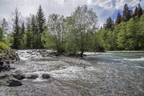 Illersprung, confluence of the Trettach, Breitach and Stillach rivers, between Oberstdorf and Fish, Oberallgaeu, Allgaeu, Bavaria, Germany, Europe