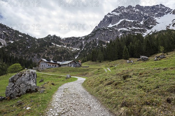 Hiking trail through green meadows, behind Hintere Gemstel-Huette and Widderstein, Gemsteltal, Mittelberg, Kleinwalsertal, Vorarlberg, Allgaeu Alps, Austria, Europe