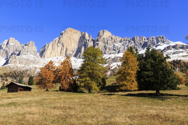 Snow on rocky peaks behind a meadow with a wooden hut in autumn, Italy, Alto Adige, Bolzano province, Dolomites, rose garden, Europe