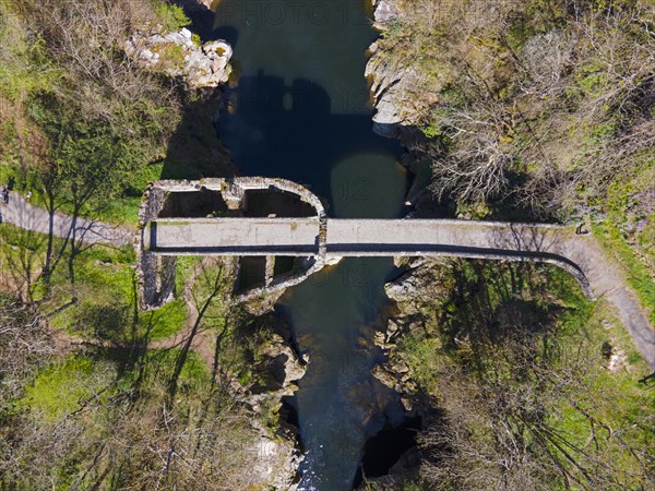 Bird's eye view of an old stone bridge over a quiet river with surrounding vegetation, Bridge of the Devil, Pont de Diable, Romanesque stone bridge, Ariege river, Montoulieu, Ariege, France, Europe