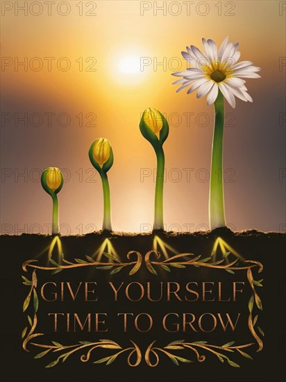 Silhouette of growing flower against sunset with uplifting quote, AI generated