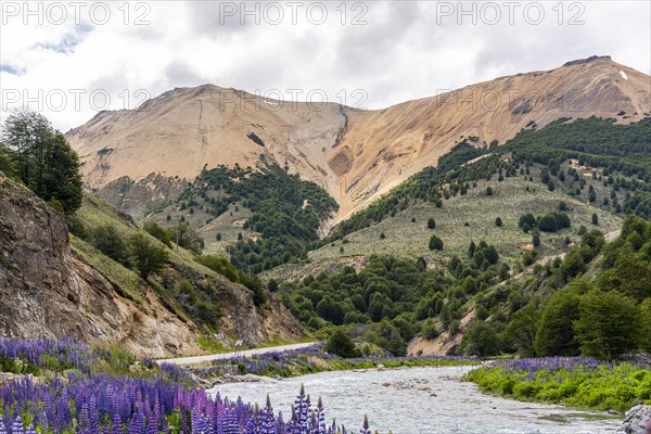 Mountain range along the Rio Blanco, Carretera Austral, Aysen, Chile, South America