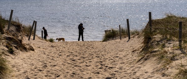 On the beach at Alt-Reddevitz, Ruegen, Mecklenburg-Western Pomerania, Germany, Europe