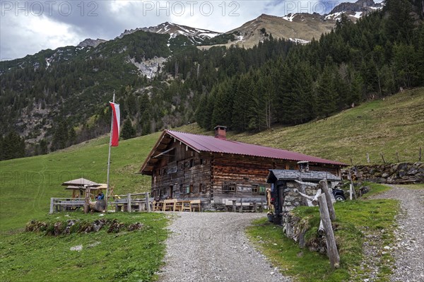 Naturalpe Gemstel-Schoenesboden-Alpe, Gemsteltal, Mittelberg, Kleinwalsertal, Vorarlberg, Allgaeu Alps, Austria, Europe