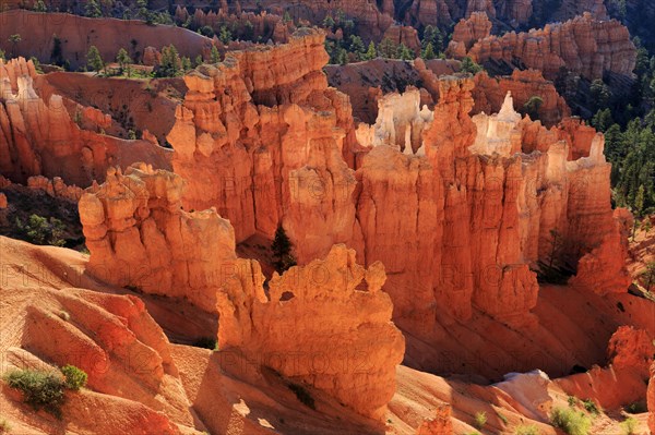 A panorama of rock formations in warm light with strong shadow play on the hoodoos, Bryce Canyon National Park, North America, USA, South-West, Utah, North America