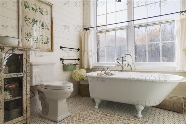 White toilet, freestanding claw foot bathtub and distressed green antique finish pine wood cabinet in en suite with honeycomb ceramic tile flooring on upstairs floor inside country style home, Quebec, Canada, North America