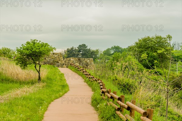 Small tree next to walking path leading to remains of stone fortress in Suncheon, South Korea, Asia