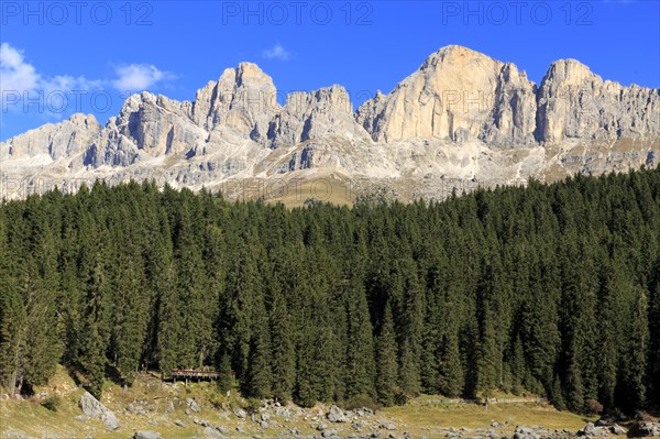 Sunshine illuminates a dense forest in front of high rocky mountain peaks, Trentino-Alto Adige, Alto Adige, Bolzano province, Dolomites, Reflection rose garden at Wuhnleger Lake, San Cipriano